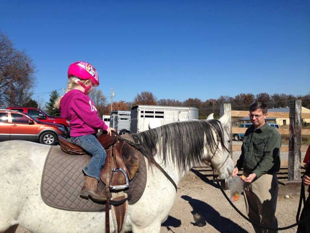 Preschool girl on a horse watching uncle feed horse carrots.
