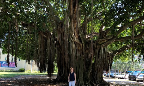 Cheri standing in front of a banyan tree