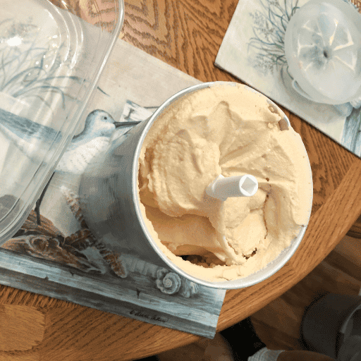 Old Fashioned Homemade Ice Cream for the Dairy Sensitive